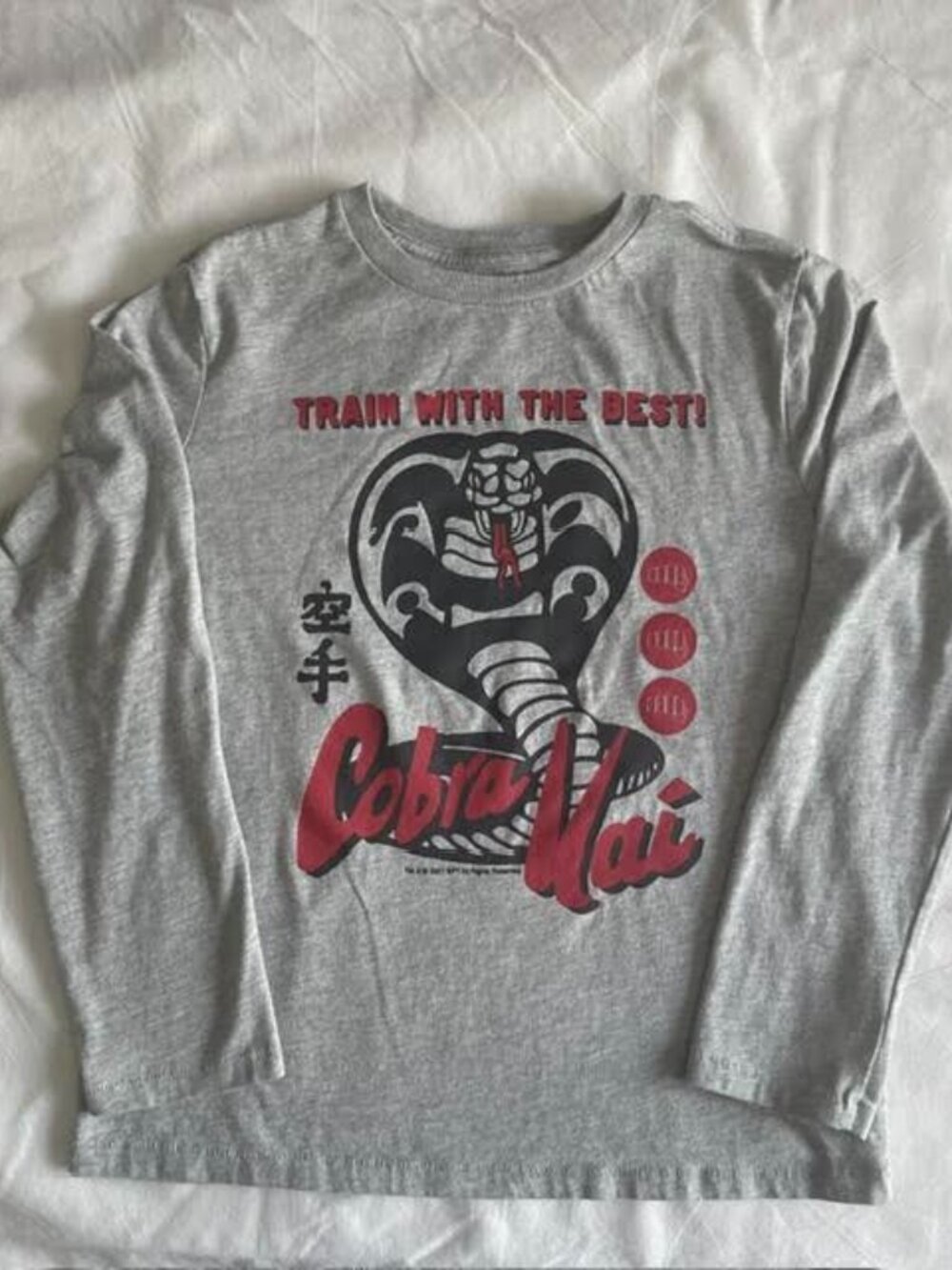 Gap Kids Cobra Kai Long Sleeve T-Shirt Boys Size 10 Gray Graphic Tee